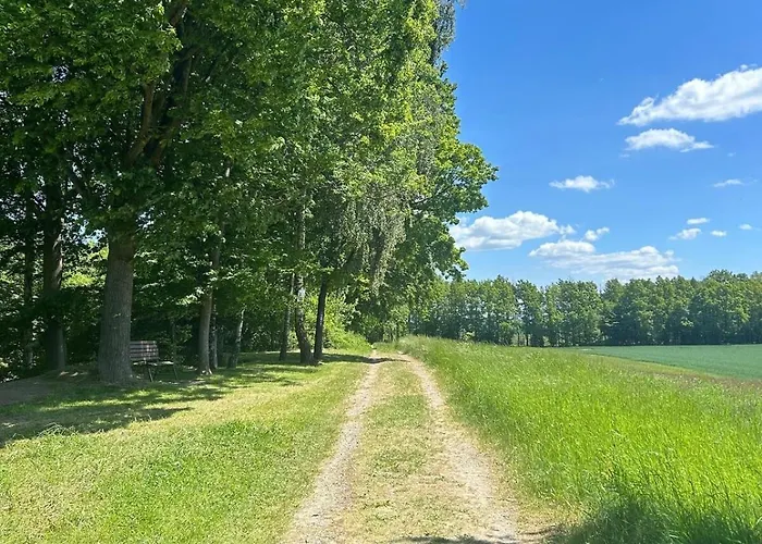 公寓 In Reelkirchen Mit 1 Schlafzimmer 布隆贝格